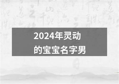 2024年灵动的宝宝名字男