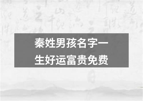 秦姓男孩名字一生好运富贵免费