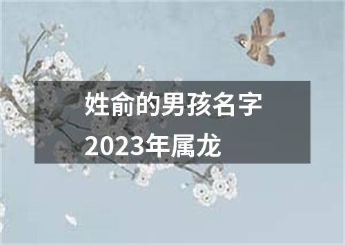 姓俞的男孩名字2023年属龙