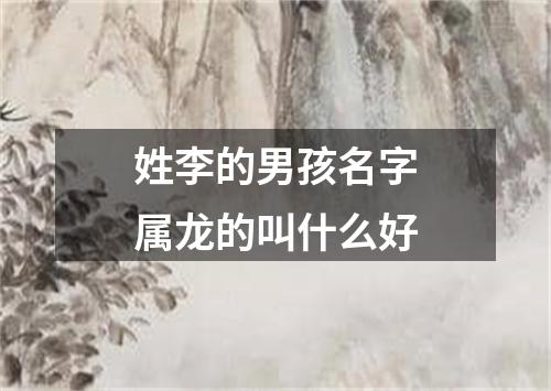 姓李的男孩名字属龙的叫什么好