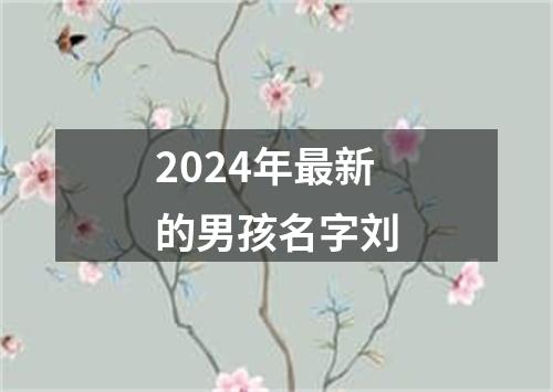 2024年最新的男孩名字刘