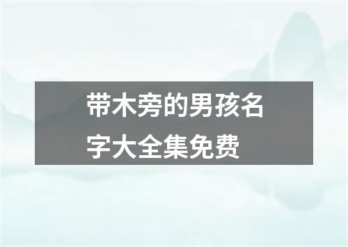 带木旁的男孩名字大全集免费