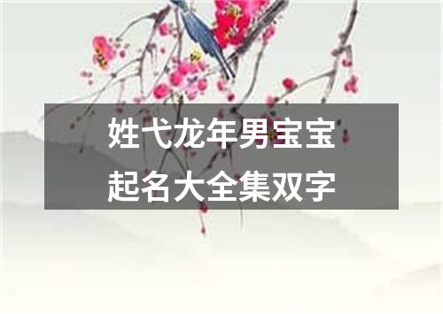 姓弋龙年男宝宝起名大全集双字