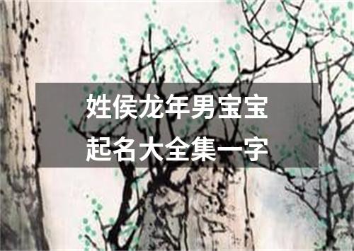 姓侯龙年男宝宝起名大全集一字