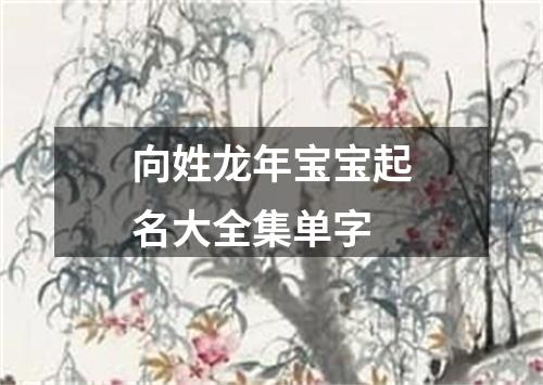 向姓龙年宝宝起名大全集单字