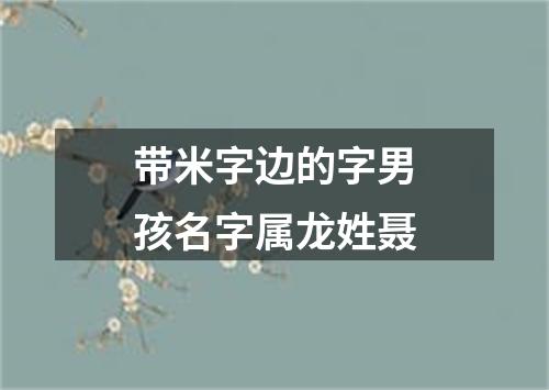 带米字边的字男孩名字属龙姓聂