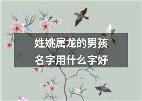 姓姚属龙的男孩名字用什么字好