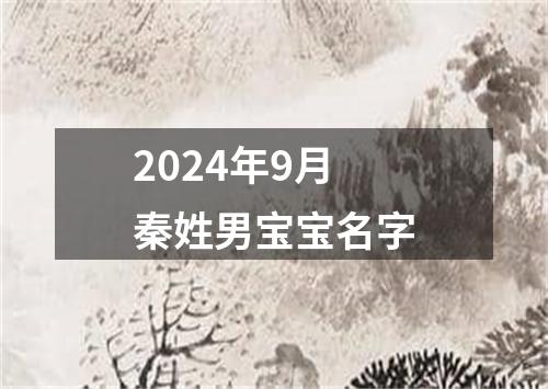 2024年9月秦姓男宝宝名字