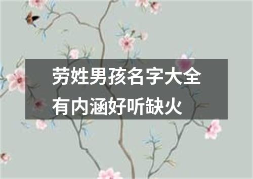 劳姓男孩名字大全有内涵好听缺火