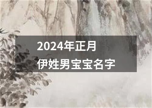 2024年正月伊姓男宝宝名字