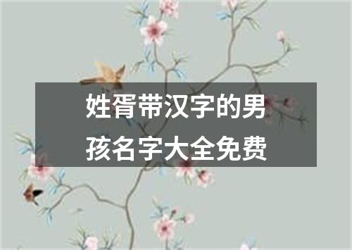 姓胥带汉字的男孩名字大全免费