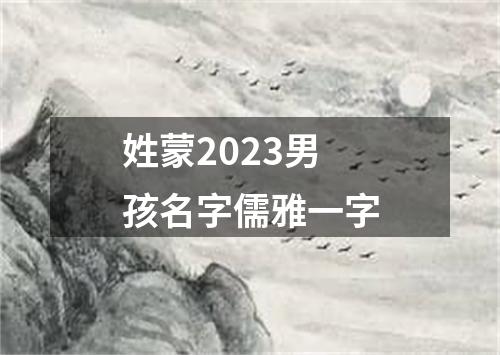 姓蒙2023男孩名字儒雅一字