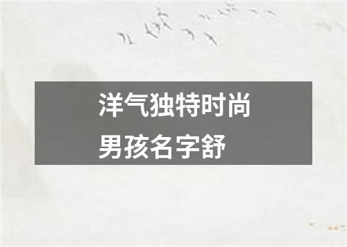 洋气独特时尚男孩名字舒