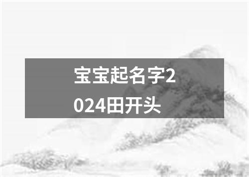 宝宝起名字2024田开头