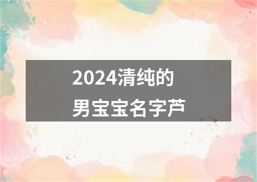 2024清纯的男宝宝名字芦