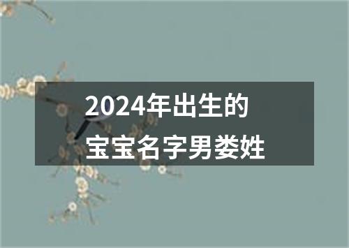 2024年出生的宝宝名字男娄姓