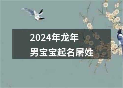 2024年龙年男宝宝起名屠姓