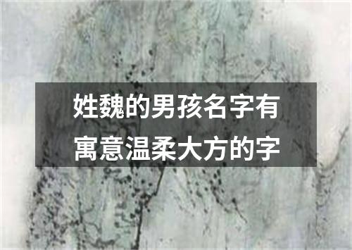 姓魏的男孩名字有寓意温柔大方的字