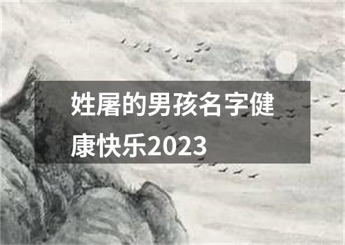 姓屠的男孩名字健康快乐2023