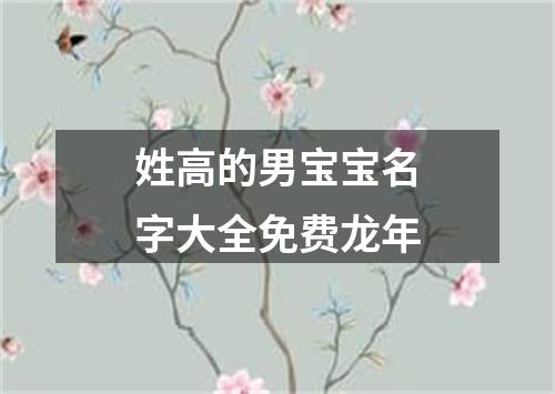 姓高的男宝宝名字大全免费龙年