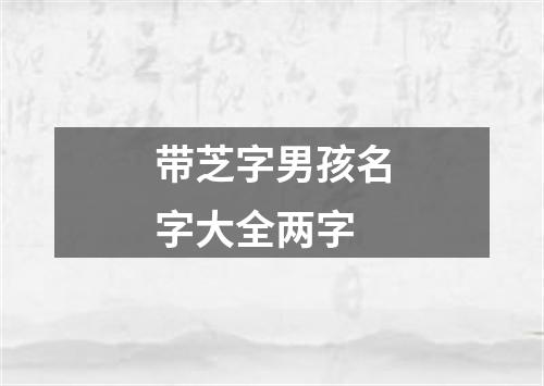 带芝字男孩名字大全两字