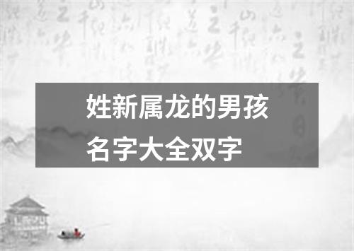 姓新属龙的男孩名字大全双字