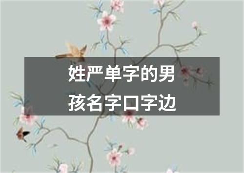 姓严单字的男孩名字口字边