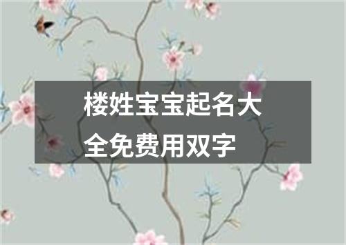 楼姓宝宝起名大全免费用双字