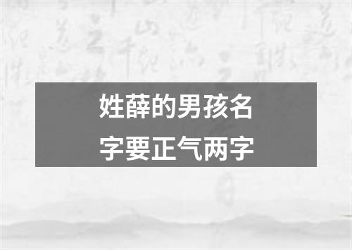 姓薛的男孩名字要正气两字