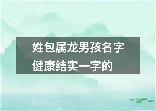 姓包属龙男孩名字健康结实一字的