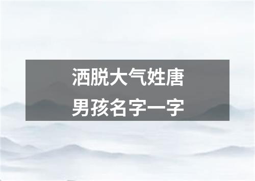 洒脱大气姓唐男孩名字一字