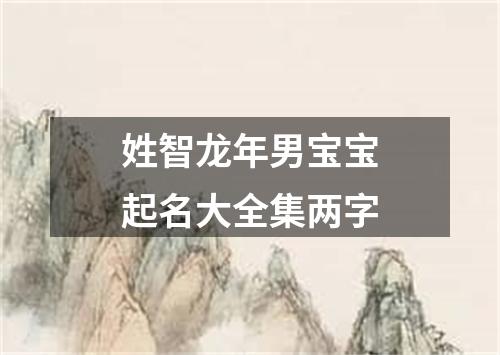 姓智龙年男宝宝起名大全集两字