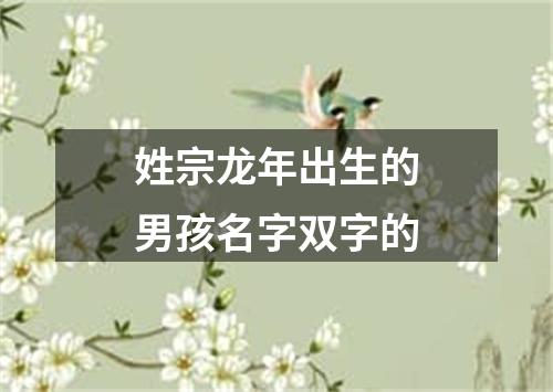 姓宗龙年出生的男孩名字双字的