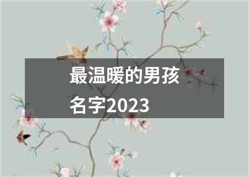 最温暖的男孩名字2023