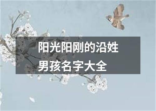 阳光阳刚的沿姓男孩名字大全