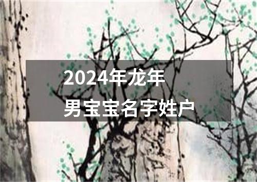 2024年龙年男宝宝名字姓户