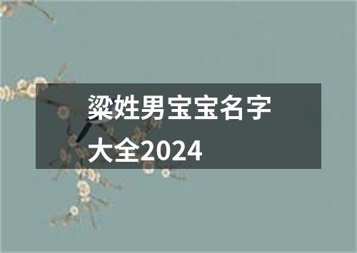 粱姓男宝宝名字大全2024