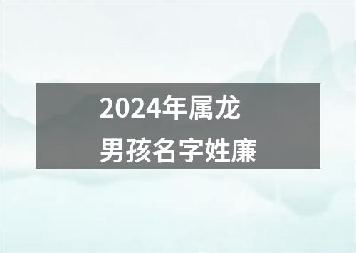 2024年属龙男孩名字姓廉