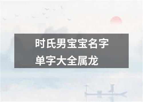 时氏男宝宝名字单字大全属龙