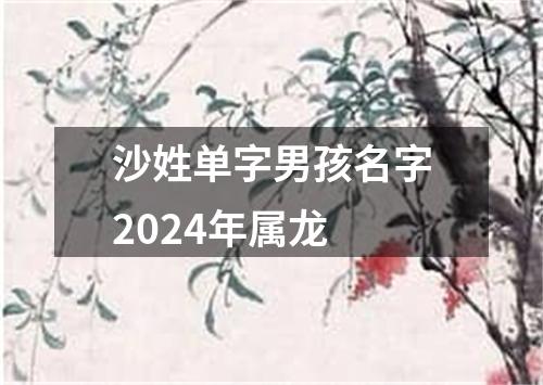 沙姓单字男孩名字2024年属龙