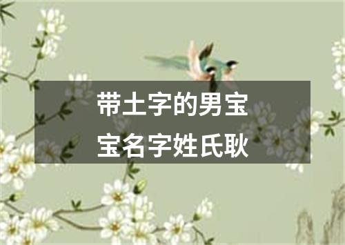 带土字的男宝宝名字姓氏耿