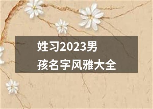 姓习2023男孩名字风雅大全