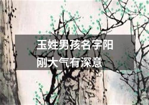 玉姓男孩名字阳刚大气有深意