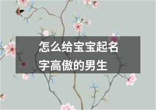 怎么给宝宝起名字高傲的男生