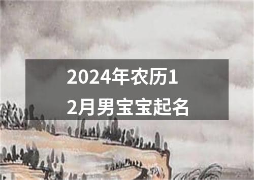 2024年农历12月男宝宝起名