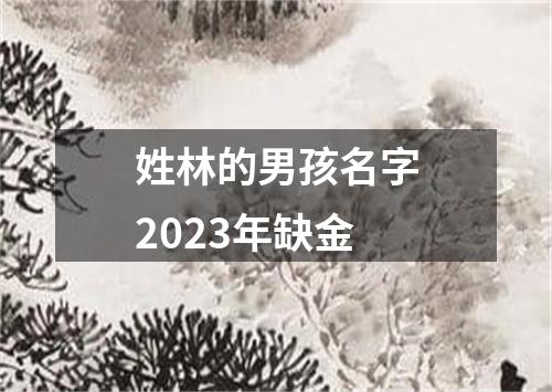 姓林的男孩名字2023年缺金