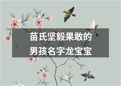 苗氏坚毅果敢的男孩名字龙宝宝