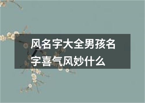 风名字大全男孩名字喜气风妙什么