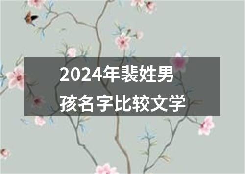 2024年裴姓男孩名字比较文学