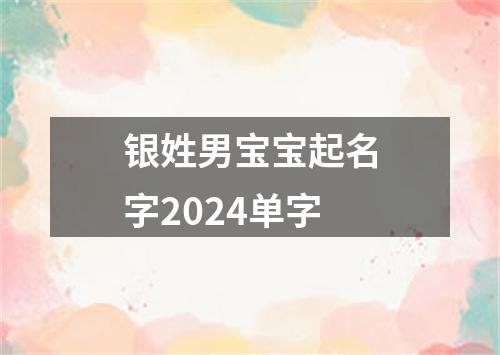 银姓男宝宝起名字2024单字